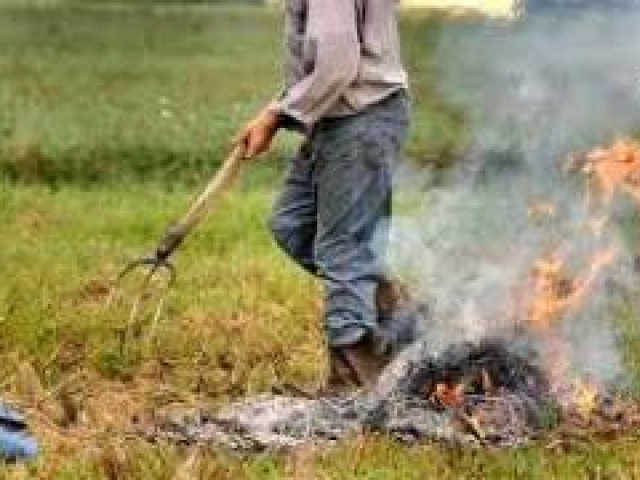 residui vegetali che bruciano